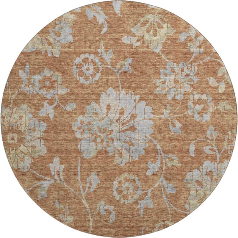 Premium Washable Super Soft Floral Whimsy Mayfield Rug