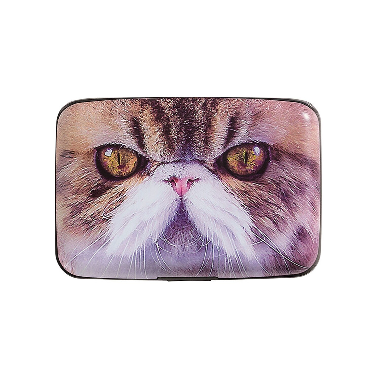 midentity compact midentity compact