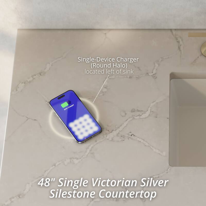 Brookfield 48" Single Vanity, Black Onyx w/FreePower Wireless Charger - Victorian Silver