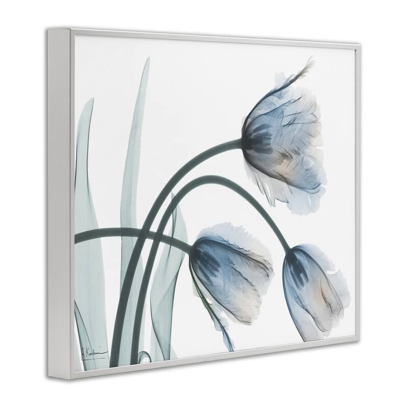 Stupell Trendy Mod Tulips Framed Giclee Art Design By Albert Koetsier