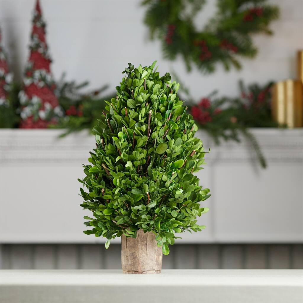 Boxwood Topiary Plants with Pot - 15.75" - Green