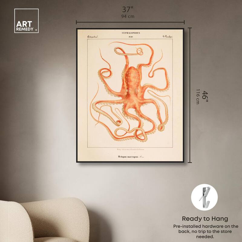 Verany The Octopus 1815 I Canvas by Art Remedy