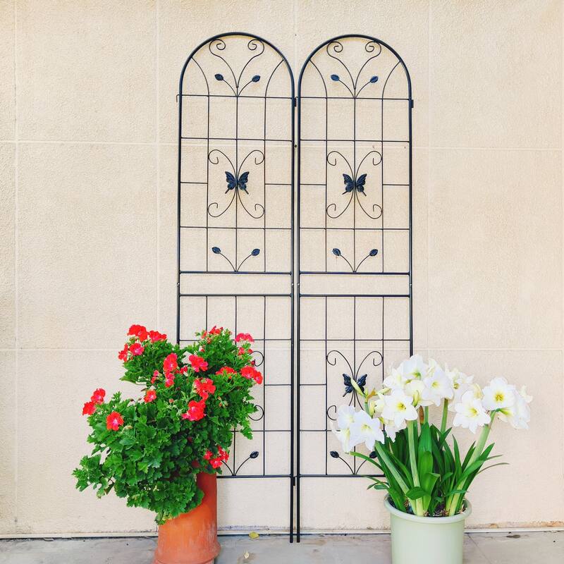 Metal Garden Trellis