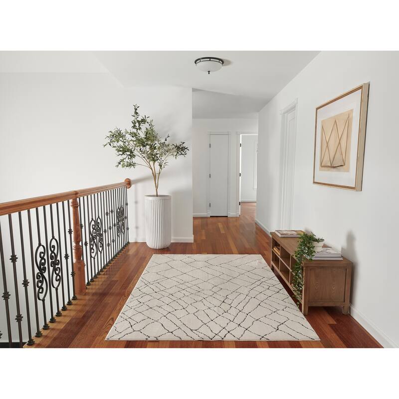 Momeni Noho Polyester Moroccan Area Rug