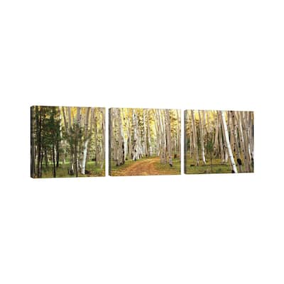 iCanvas "Aspen Trees In A Forest, Dixie National Forest, Utah, USA" by Panoramic Images 3-Piece Canvas Wall Art Set