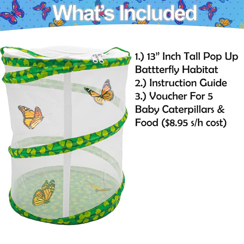 Butterfly Growing Garden Habitat Kit - Large Butterfly Garden and Caterpillar Growing Enclosure for Kids