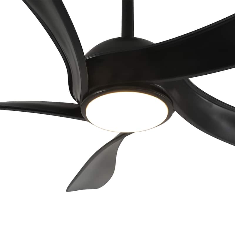 Fergus 5-Blade Lighted Ceiling Fan with LED Lamp with Remote