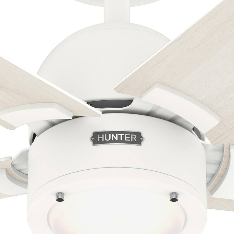 Hunter 52" Erling ENERGY STAR Ceiling Fan with LED Light Kit and Handheld Remote - Contemporary, Transitional, Modern Farmhouse