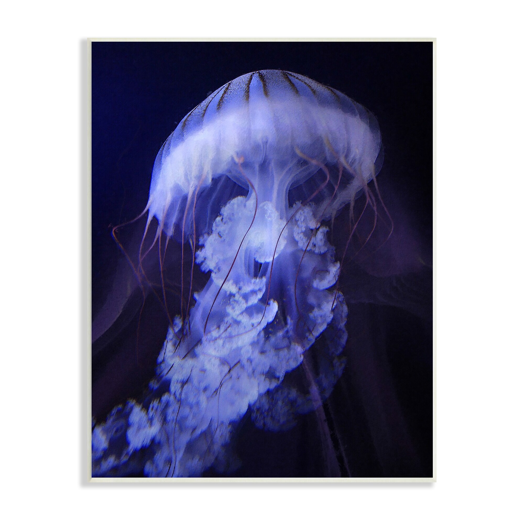 Stupell Magical Purple Detailed Jellyfish Ocean Sea Life Wood Wall Art-image