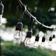 preview thumbnail 6 of 12, OVE Decors 48 ft. S14 String Lights with Black Wire and Plastic Bulbs