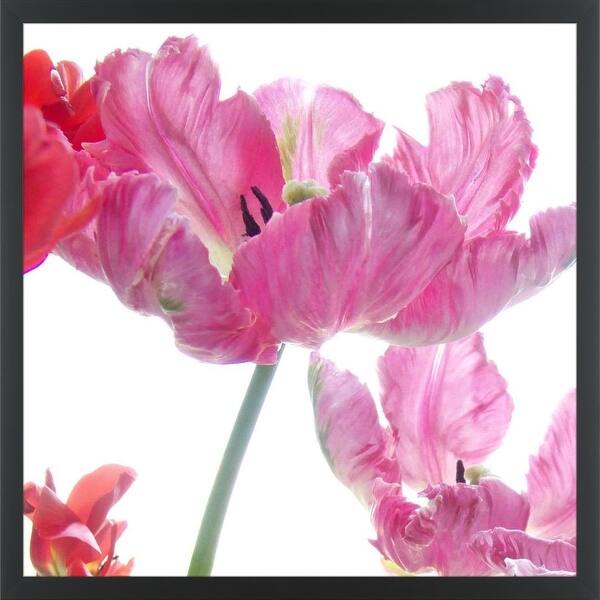 Shop Easy Art Prints Judy Stalus S Parrot Tulips Premium Canvas