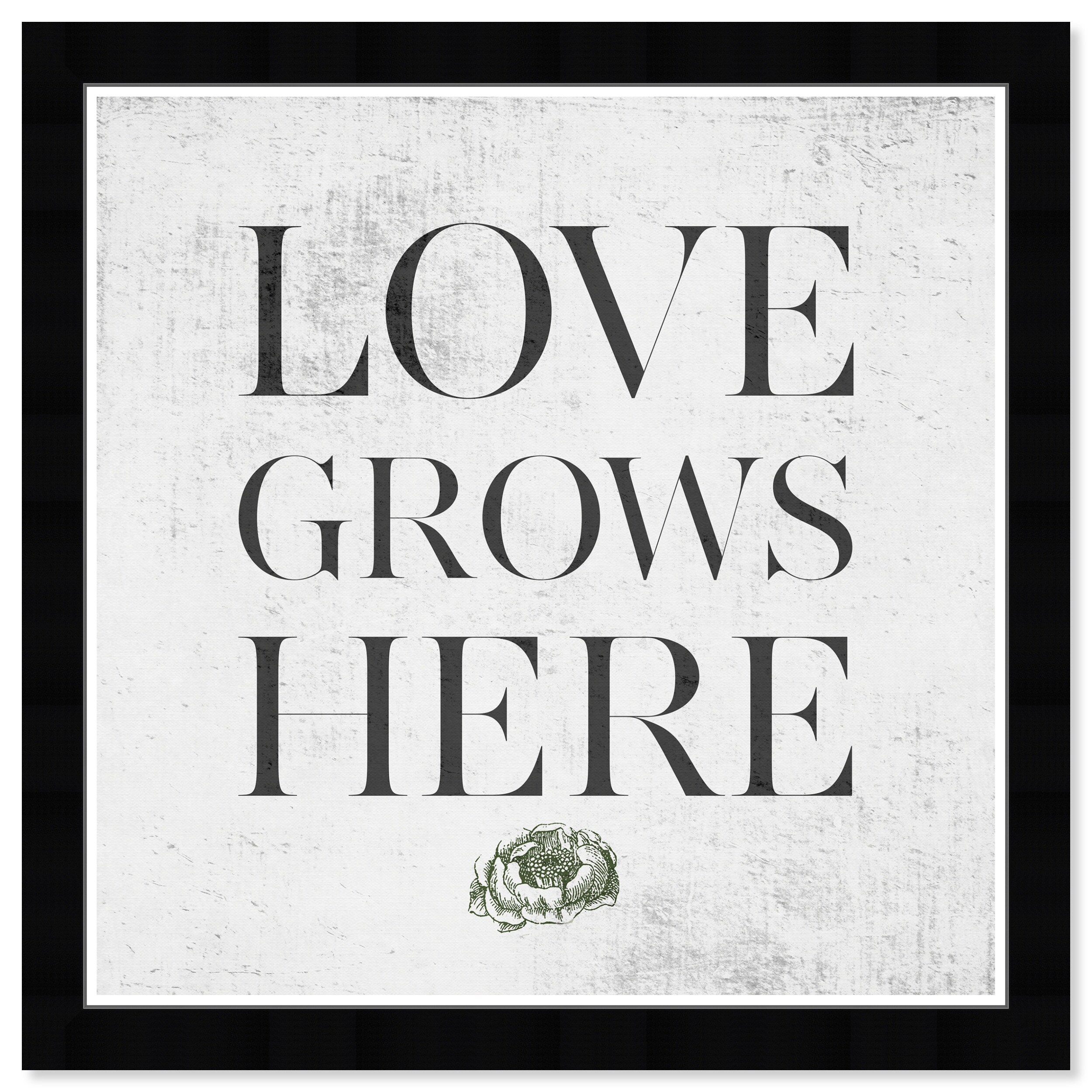 Shop Wynwood Studio Love Grows Here Concrete Typography And Quotes Wall Art Framed Print Family Quotes And Sayings Gray White Overstock 31456900