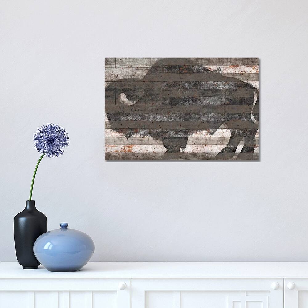 iCanvas "Buffalo II" by Diego Tirigall Canvas Print