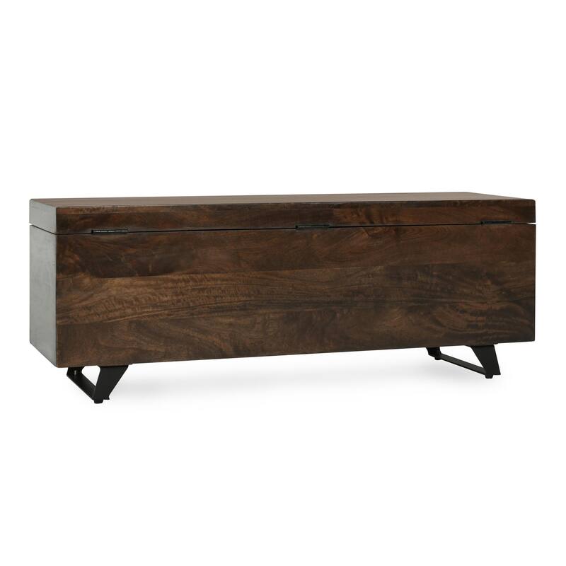 Axis 46" Storage Trunk in Dark Brown Finish by Kosas Home