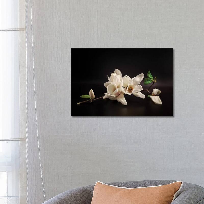 iCanvas "Magnolia" by Tony08 Canvas Print - 18x26x1.5