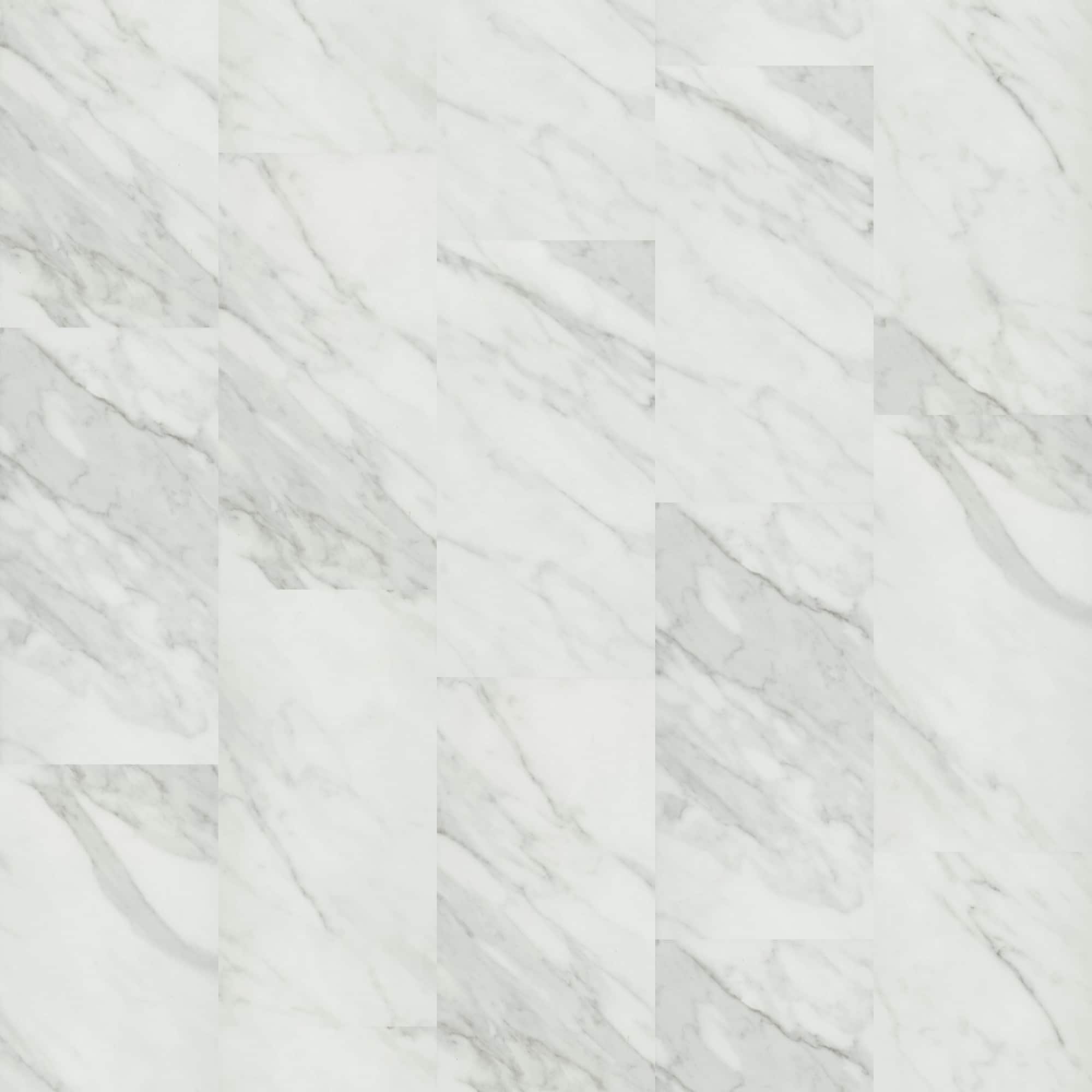 Option Carra White