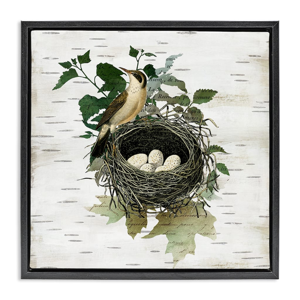 Stupell Vintage Bird Nest & Flora Framed Floater Canvas Wall Art Design By Susan Arnot