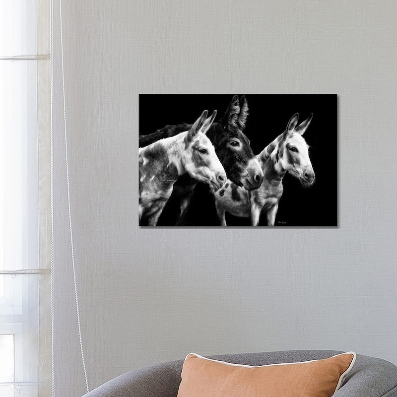 iCanvas "Donkey Portrait II" by PHBurchett Canvas Print - 18x26x1.5