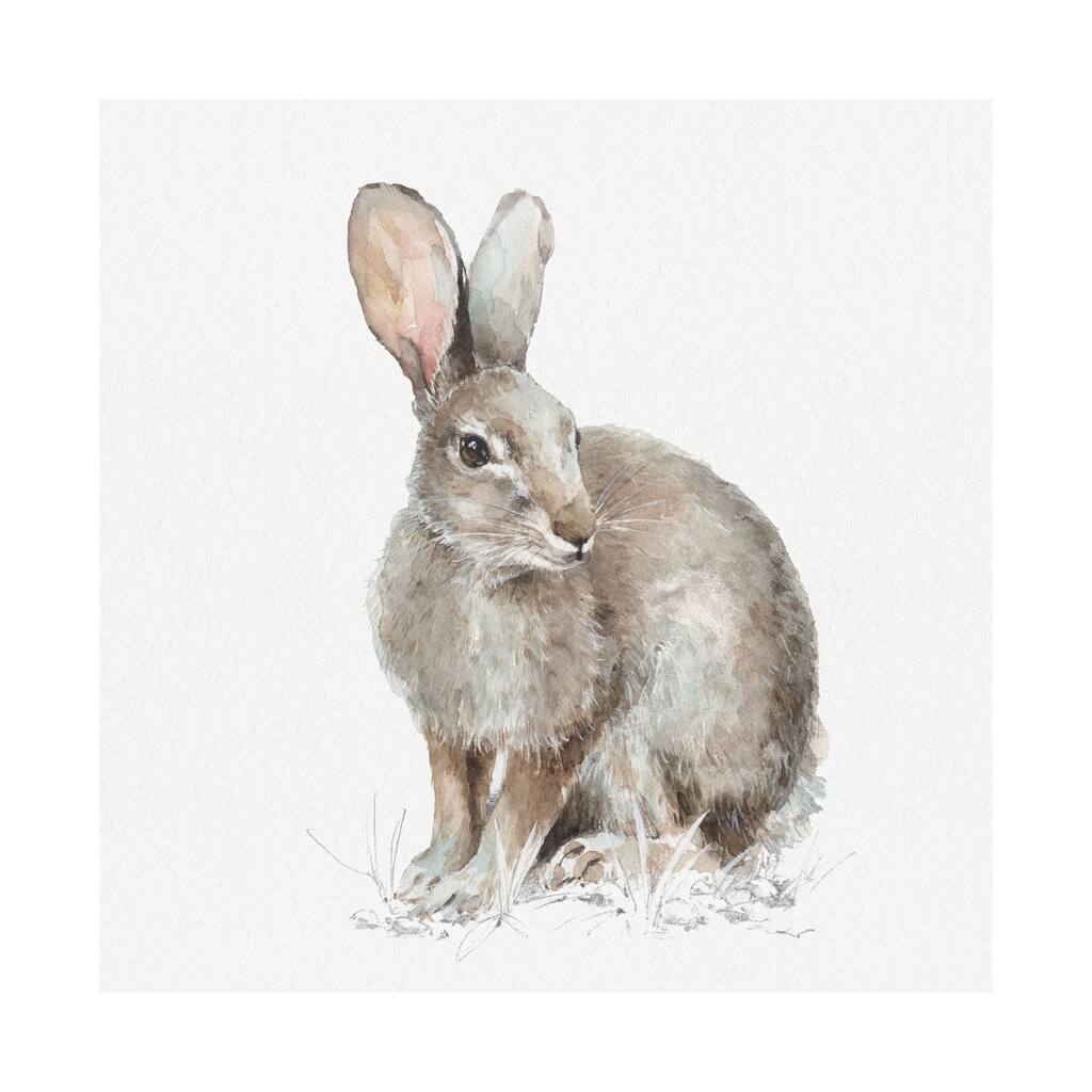 Forest Friends VIII (Hare) (41 x 41) Canvas Art Print