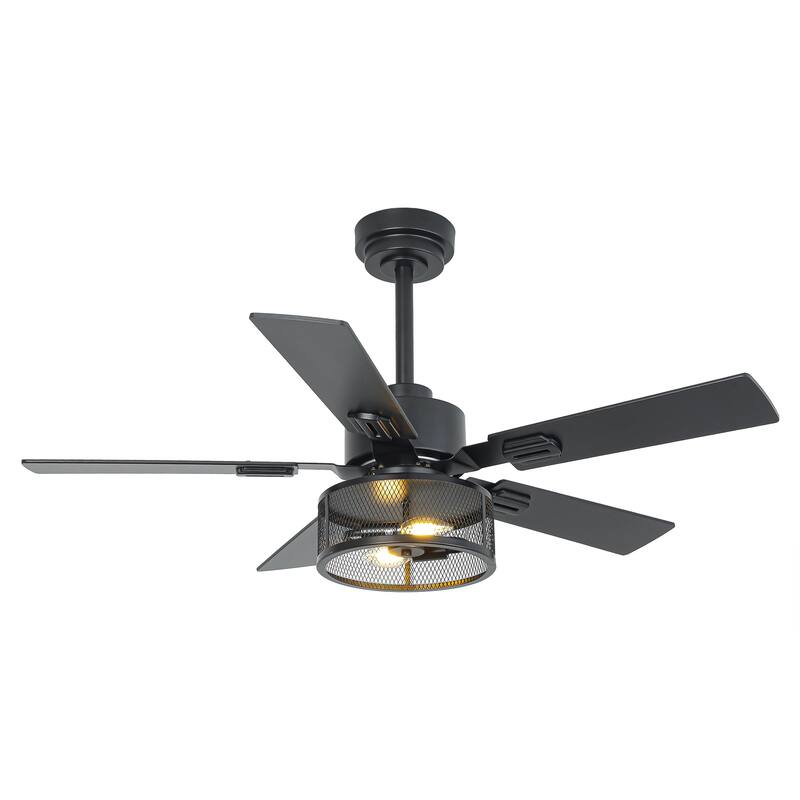 Vaczon 42" Modern Black 5-Blade Smart Ceiling Fan with Light Kit and APP Control