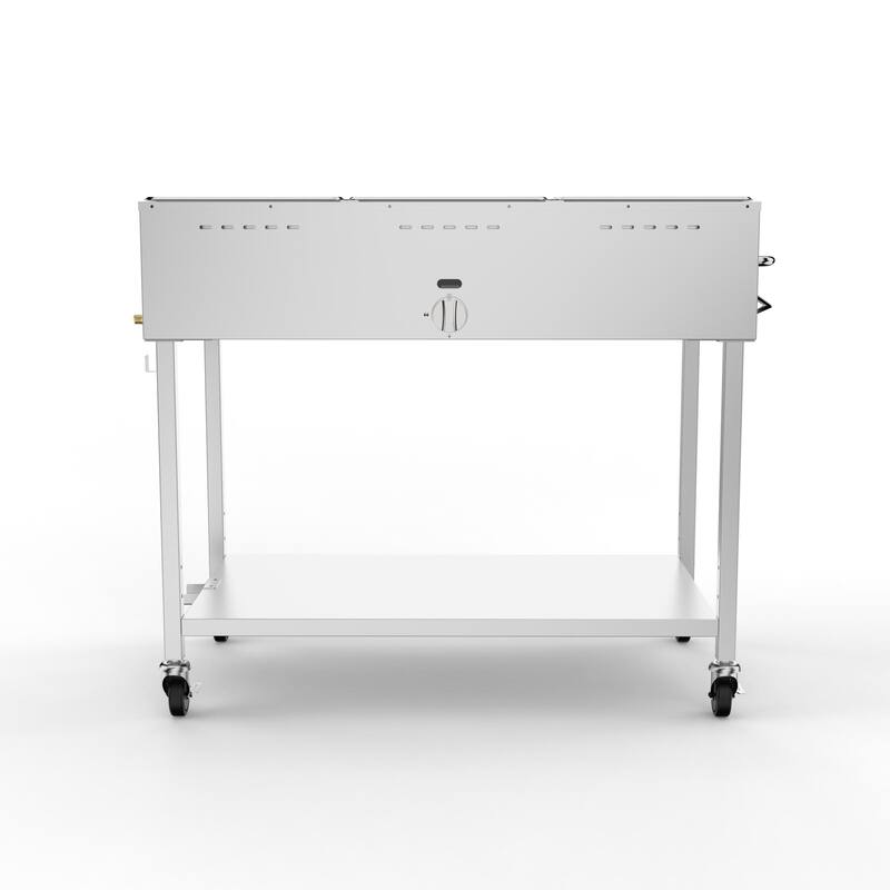 9 Propane Steam Table, L Gas Outdoor Soup Warmer 3" Wheels,StainlessSteel Propane Food Warmer&Adjustable Temperature