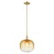 Option Champagne Bronze / Amber Shade
