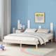 Option White Washed