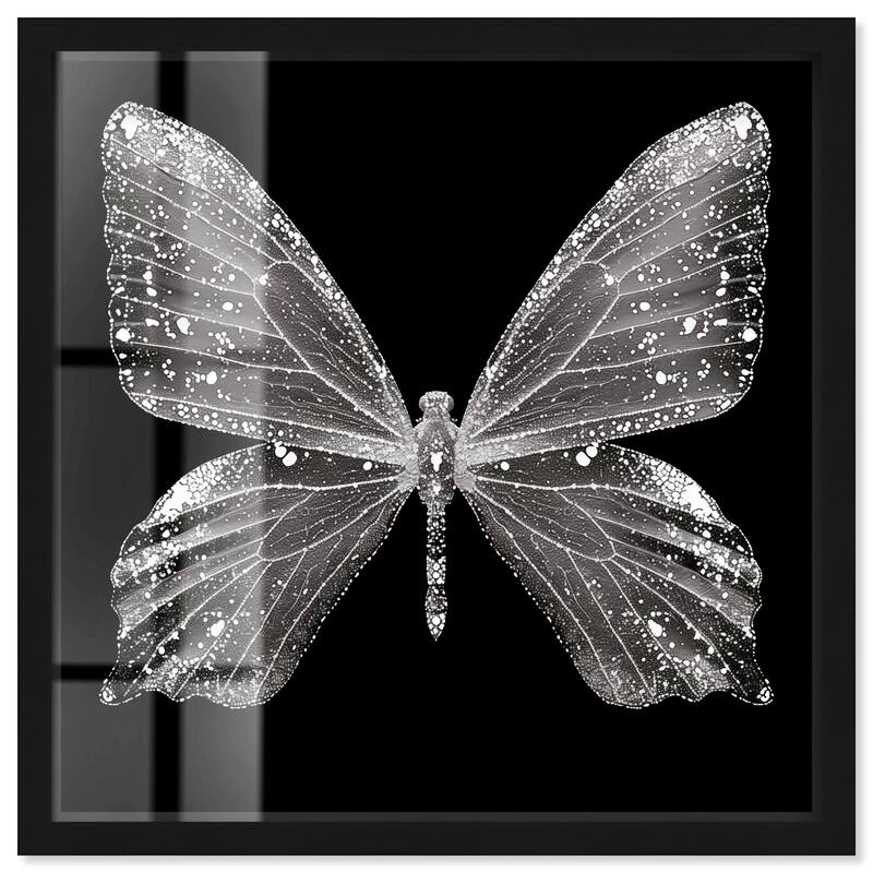Stardust Wings II Shadowbox by Art Remedy - Black - 40" x 40"