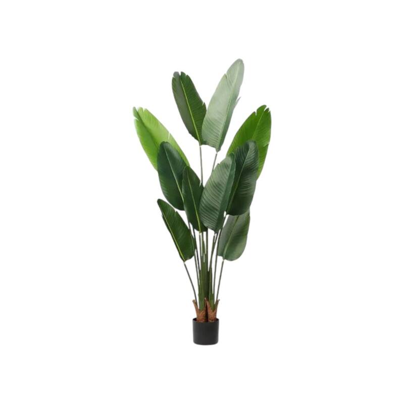 HomeRoots 63" Green Artificial Banana Leaf Tree in a Black Pot - 6.69 in. x 62.99 in. x 6.69 in.