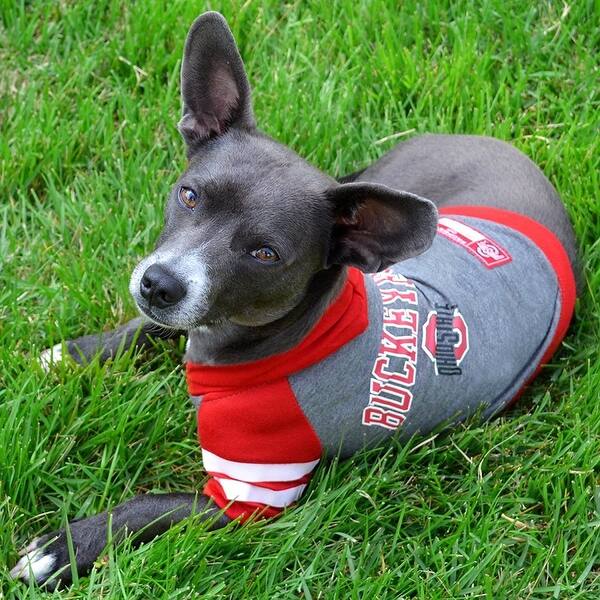 Shop Ncaa Hoodie Tee For Dogs Cats Licensed Football Basketball