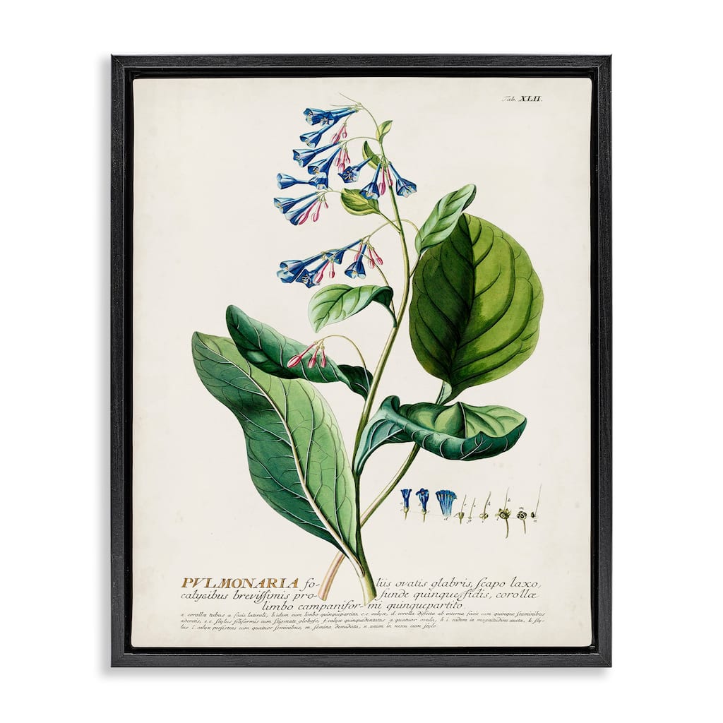 Stupell Botanical Plant Illustration Blue Flowers Vintage Design Floater Frame - Green