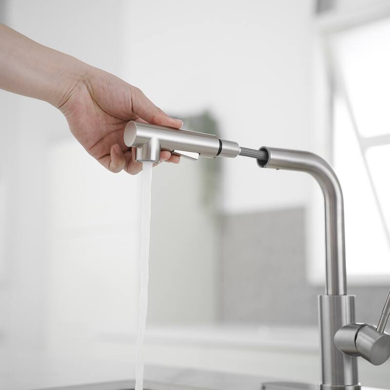 WIZ Pull Out Kitchen Faucet with Pull Down Sprayer