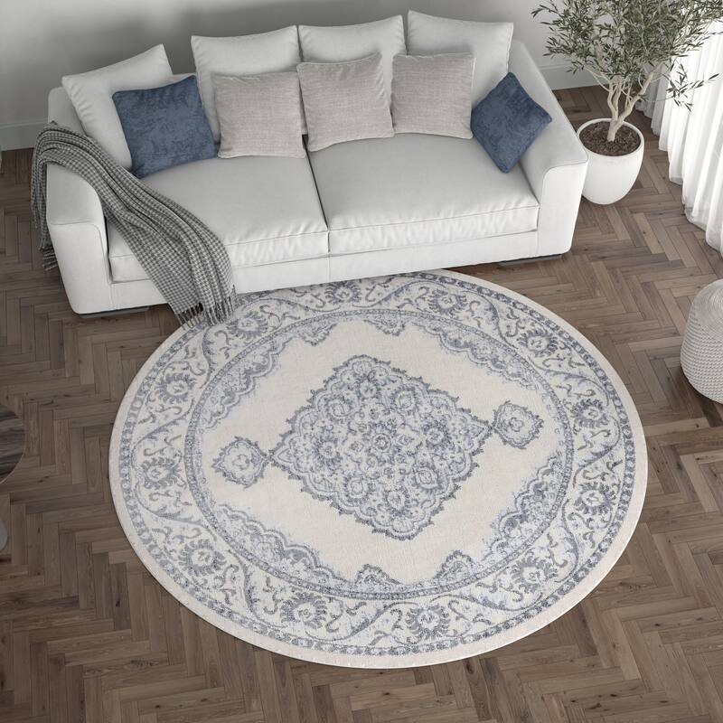 Carrington Shabby Chic Medallion Indoor Area Rug
