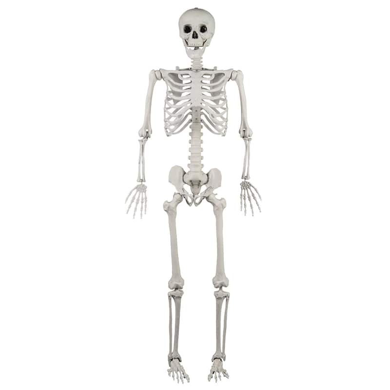 Gymax 5.4 FT Halloween Skeleton Decoration Life Size Large Skeleton w/ - White