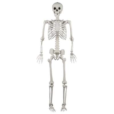 Gymax 5.4 FT Halloween Skeleton Decoration Life Size Large Skeleton w/