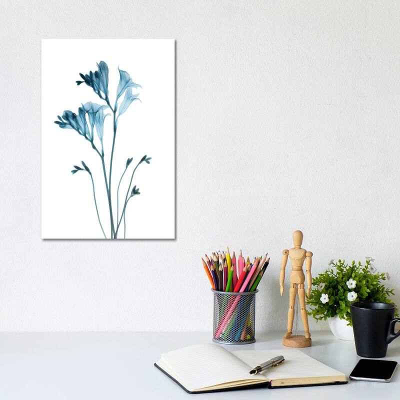 iCanvas "Blue Freesia" by Albert Koetsier Canvas Print - 12x8x0.75