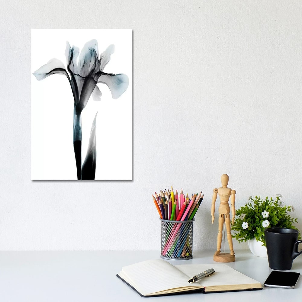 iCanvas "Ombre Sea Salt Iris" by Albert Koetsier Canvas Print