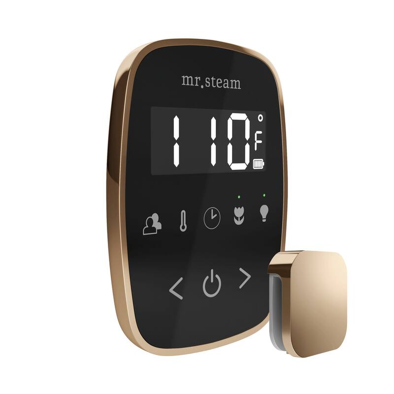 Mr Steam TF Tempoflex Steam Shower Control and Steamhead