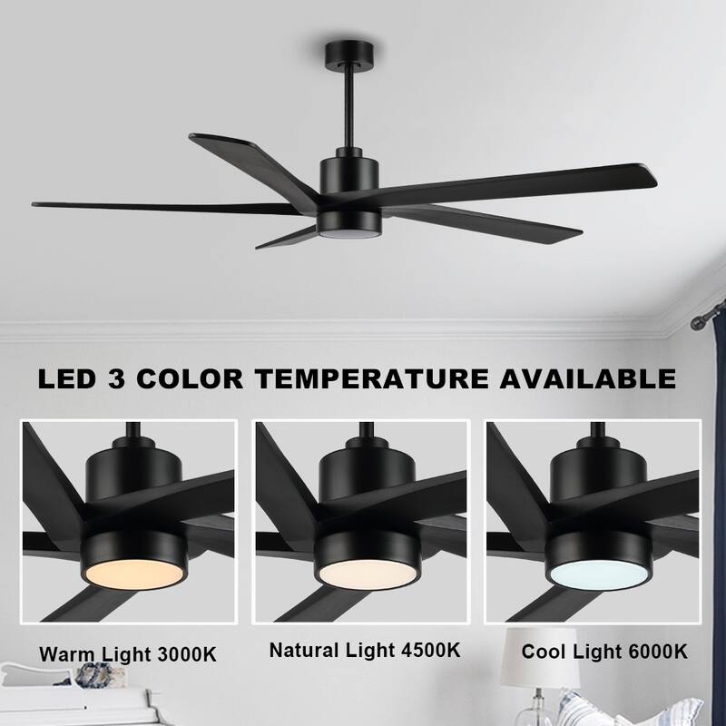 WINGBO 54 DC Ceiling Fan with Lights and Remote Control, 5 Reversible Carved Wood Blades