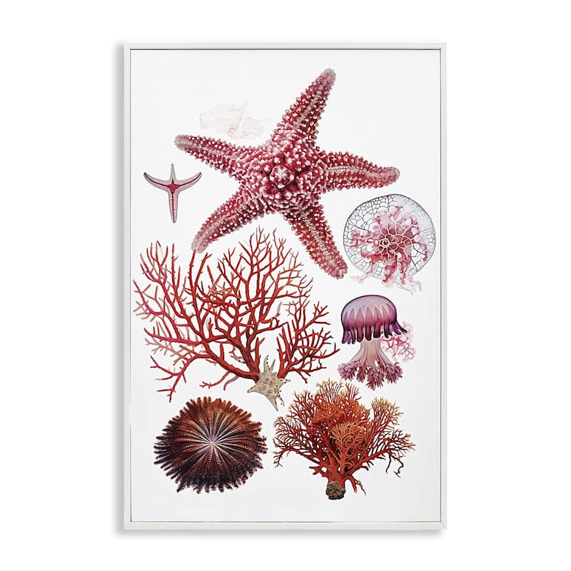 Stupell Rosy Undersea Creatures Framed Giclee Art Design By Ramona Murdock - 12 x 18 - White