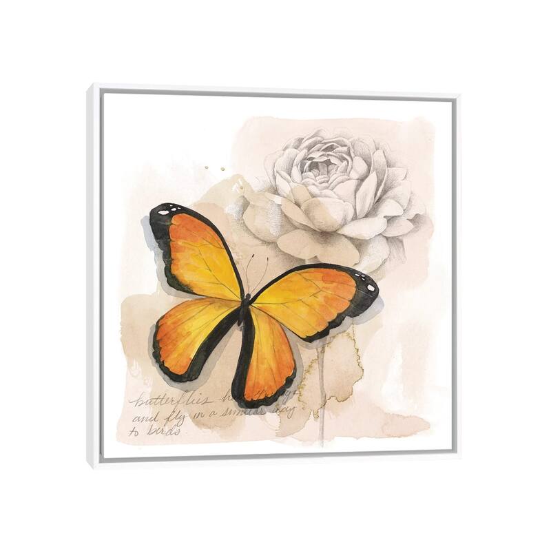 iCanvas "Shadow Box Butterfly IV" by Grace Popp Framed Canvas Print - White - 26x26
