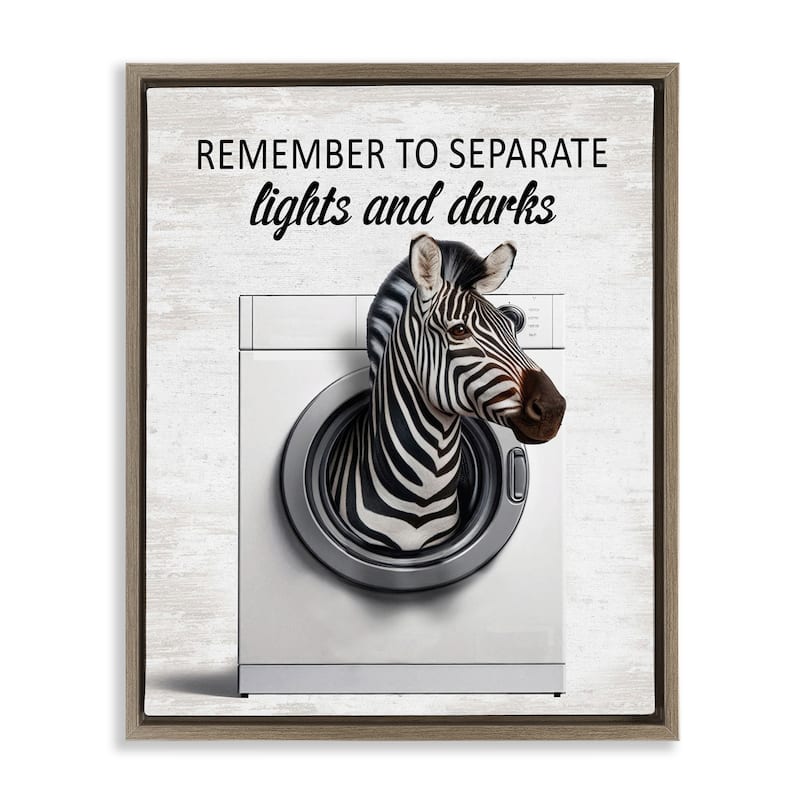 Stupell Separate Lights & Darks Laundry Framed Floater Canvas Wall Art Design By Lettered and Lined - 25 x 31 - Brown