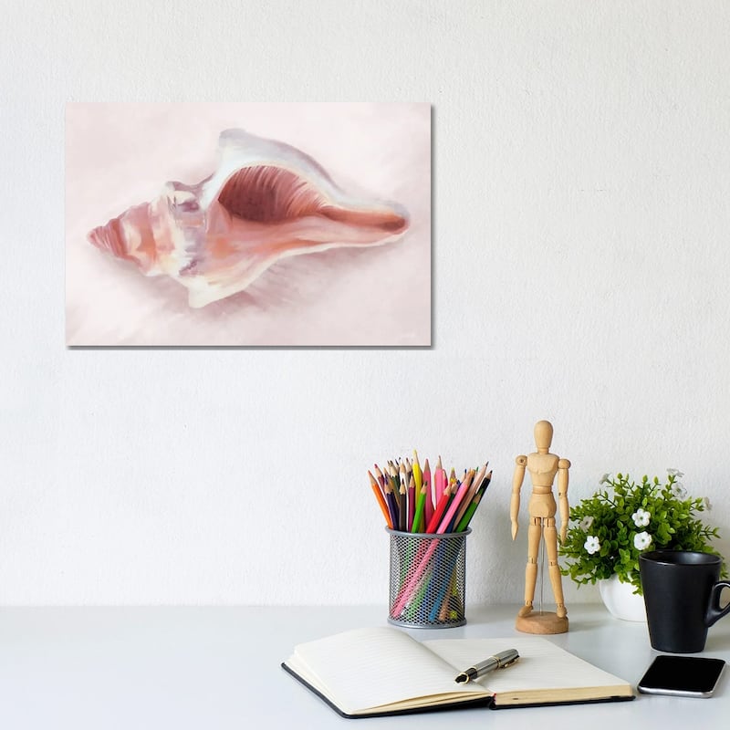 iCanvas "Conch Shell Blush II" by House Fenway Canvas Print - 8x12x0.75