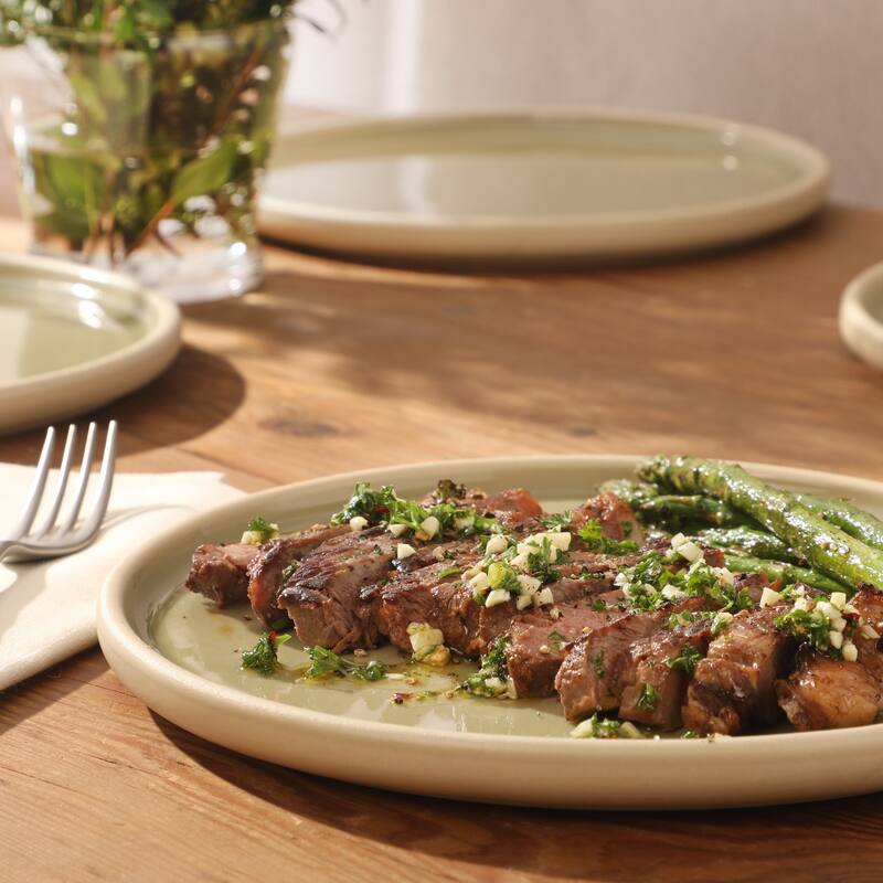 Gibson Elite - Made in Portugal - Port Gaia 10.2 Inch Dinner Plates Set of 4 - Reactive Glaze Dish Set