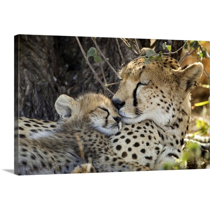 Shop Cheetah With Cub Ndutu Plains Tanzania Canvas Wall Art