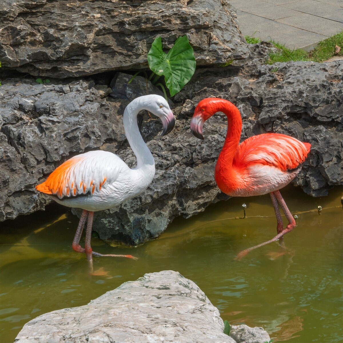 Stading-Flamingo-Pink&-Orange-