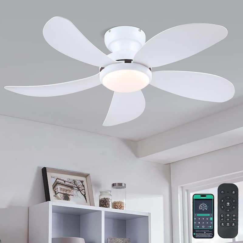 42" Low Profile Modern Ceiling Fan with Light,5 ABS Blades