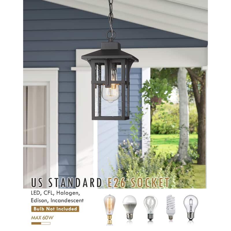 1-Light Pendant Light Fixtures with Height Adjustable Chain, Seeded Glass Shade, Matte Black Finish
