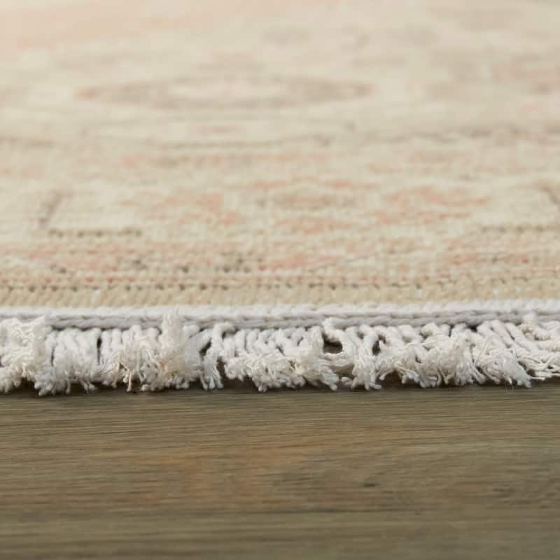 Kesgrave Traditional Medallion Recycled Area Rug