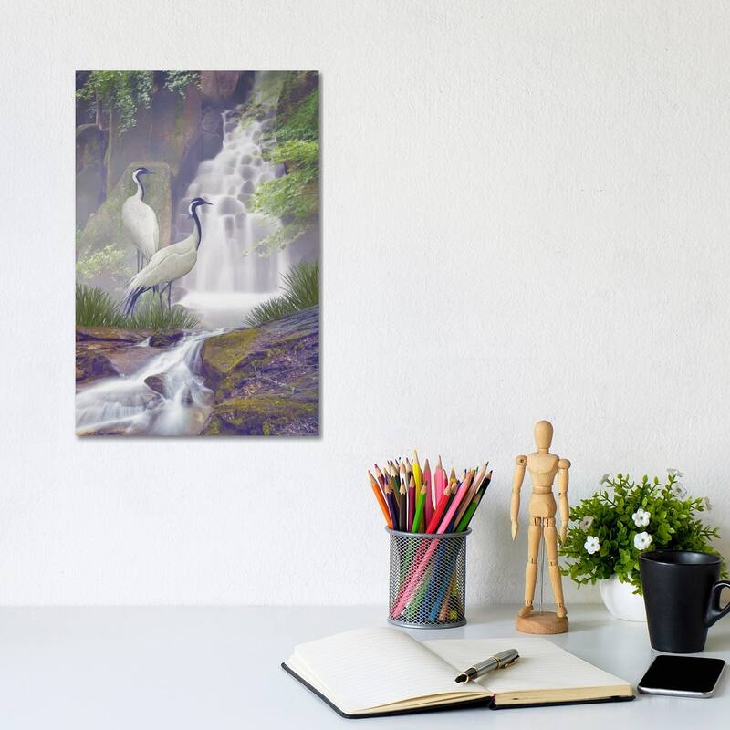 iCanvas "Mistic Crane Falls" by Steve Hunziker Canvas Print - 12x8x0.75